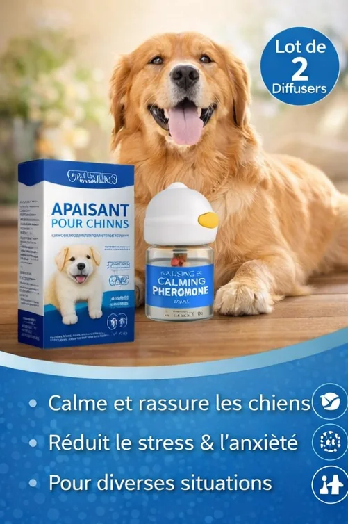 Miniature kit chien vue 4